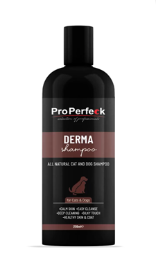 شامپو مراقبتی مدل Derma 250mL